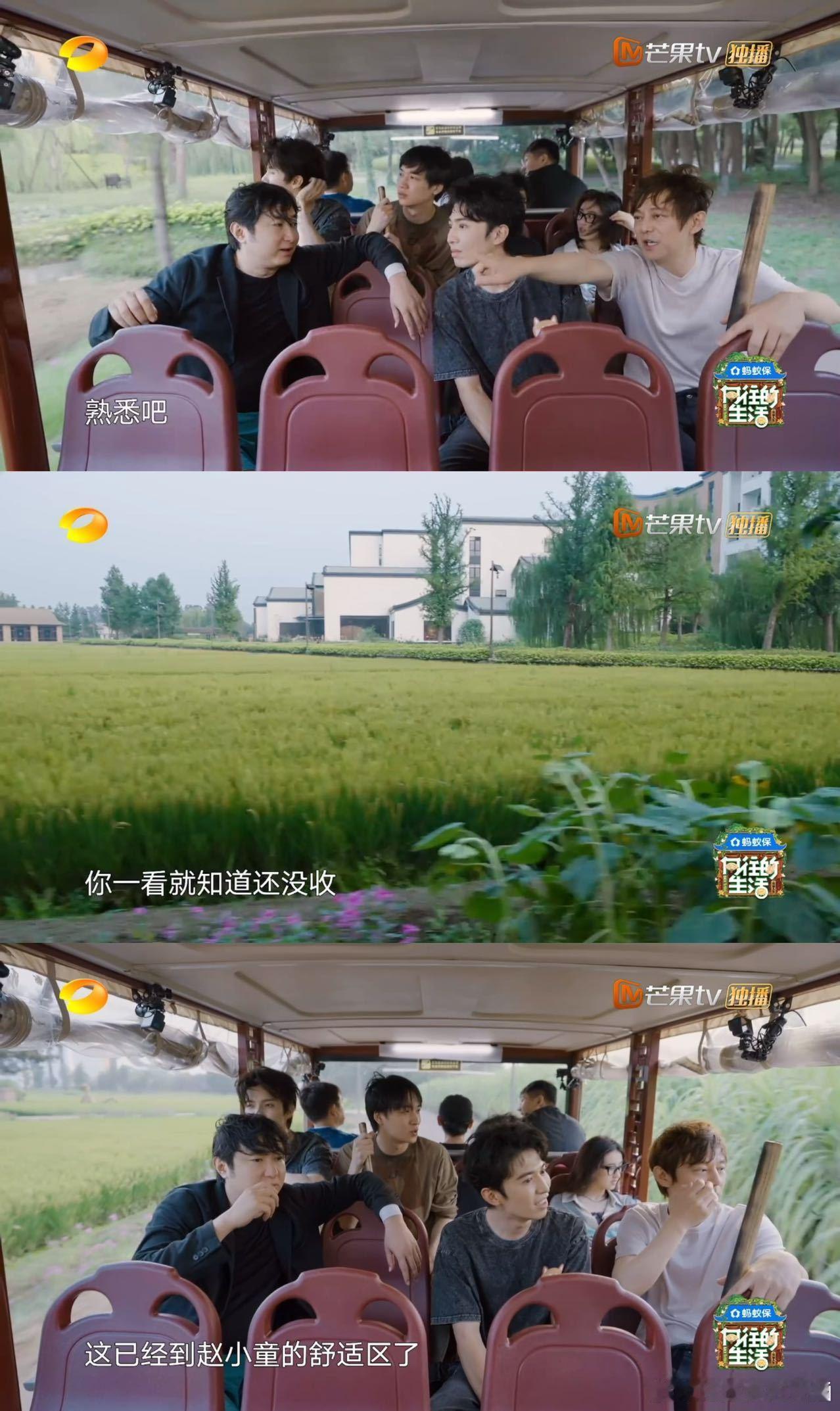 一进村就到赵小童舒适区 谁没被赵小童的踏实圈粉！一进村就专注干活，农田里的舒适感