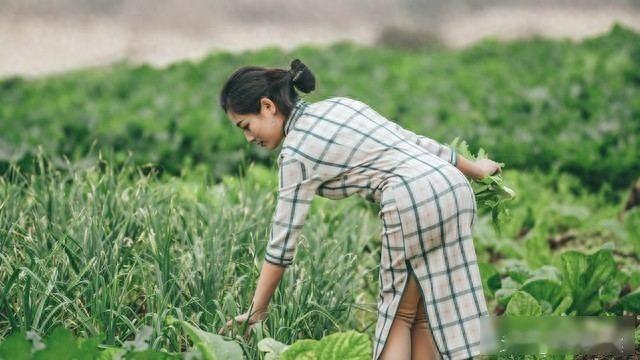 现实版“拉帮套”，
女子：
比当小三光彩，丈夫默许、
视金主为亲人！

上海保姆