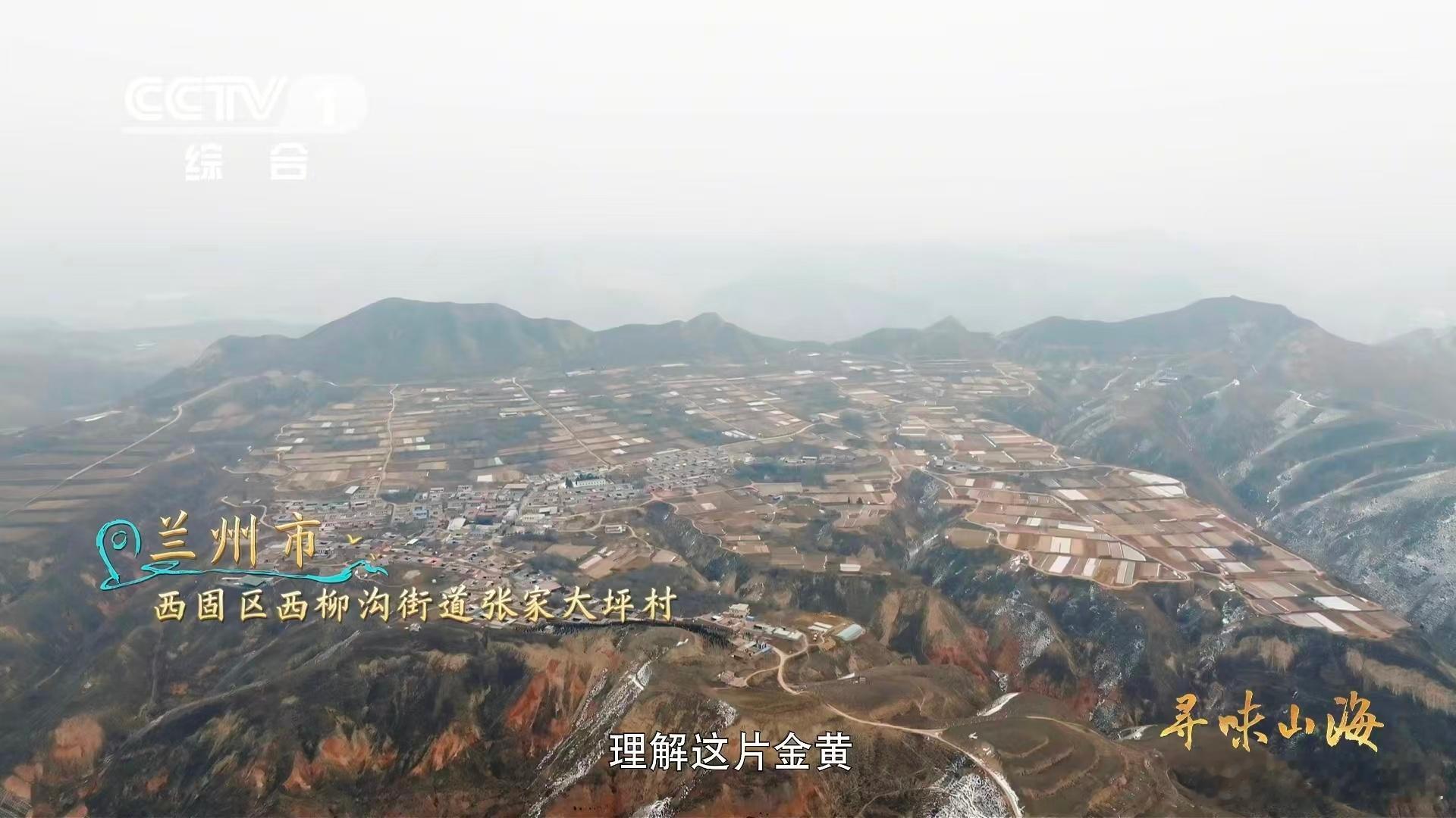 兰州种韭黄要盖被子兰州韭黄为什么自来卷 原来美味需要 “避光生长”！兰州韭黄盖上