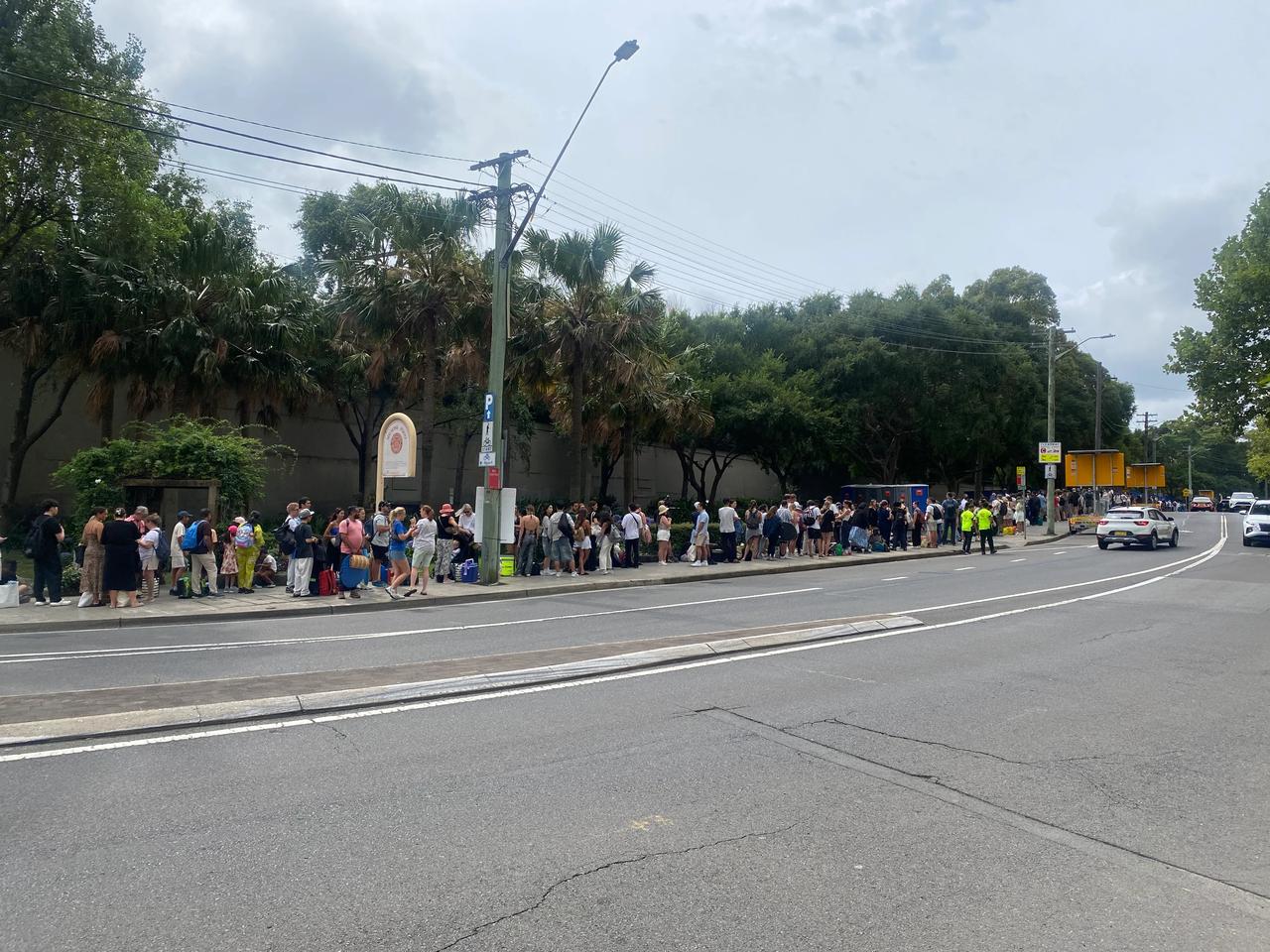 一大早就开始排队了，在悉尼北岸的Milson‘s Point，排队进入Luna 