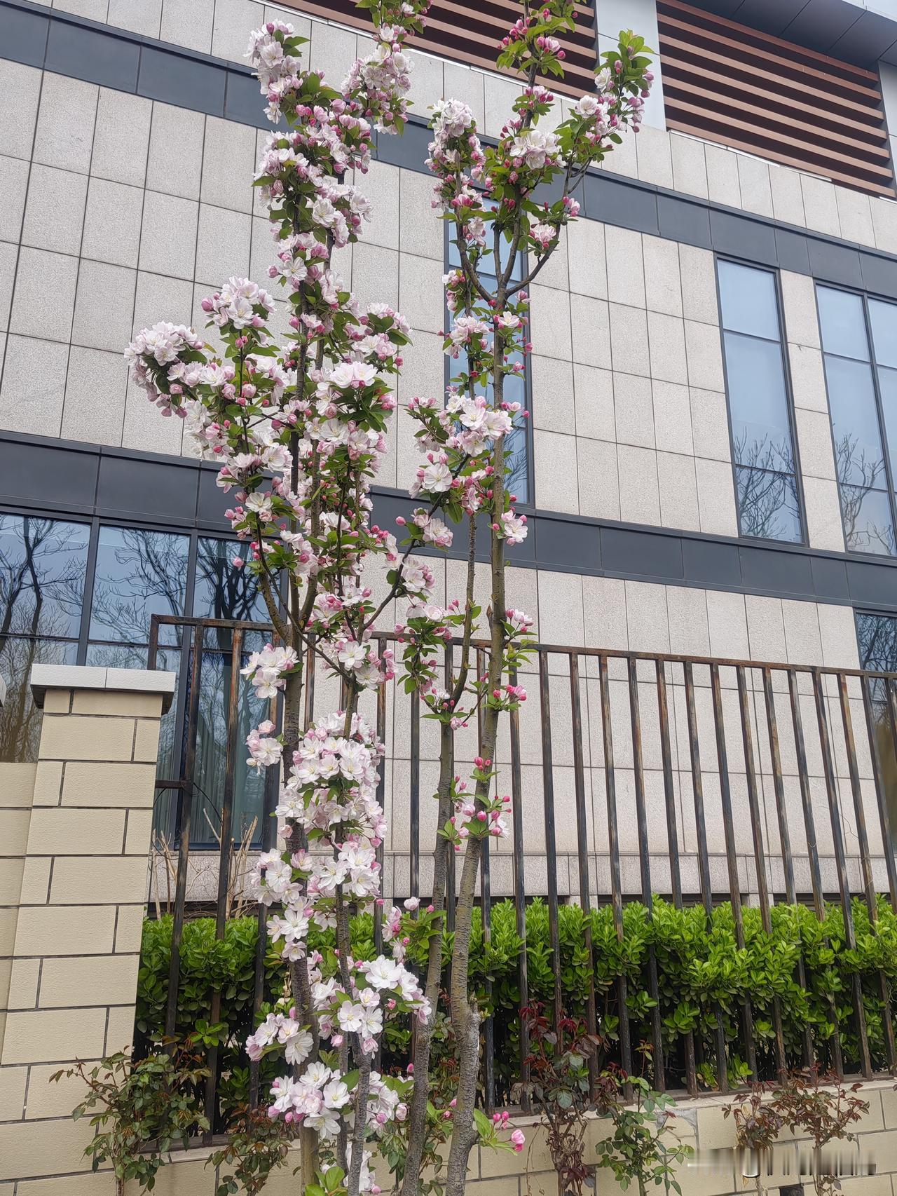 老天让你突然生病了，是在提醒你。
      一个人是不会无缘无故生病的，你以为