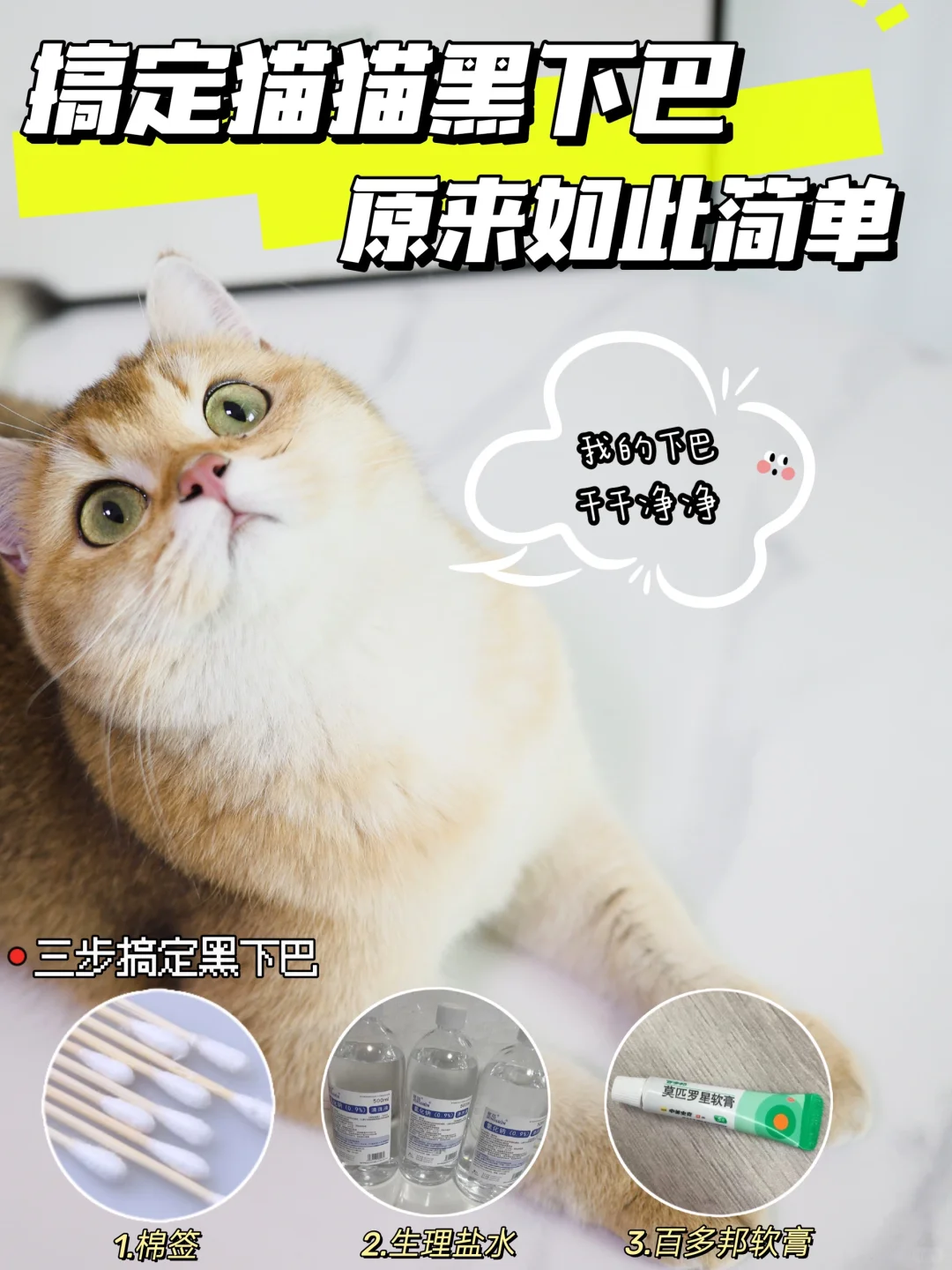 新手养猫点进来！手把手搞定猫猫黑下巴！