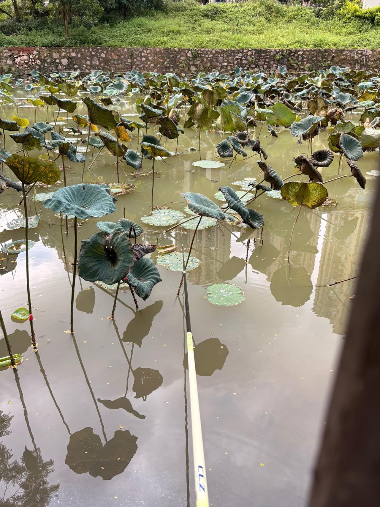 77年中年人，
每天的生活就是，上班，下班，做晚饭，
看手机，小区散步，洗澡，看