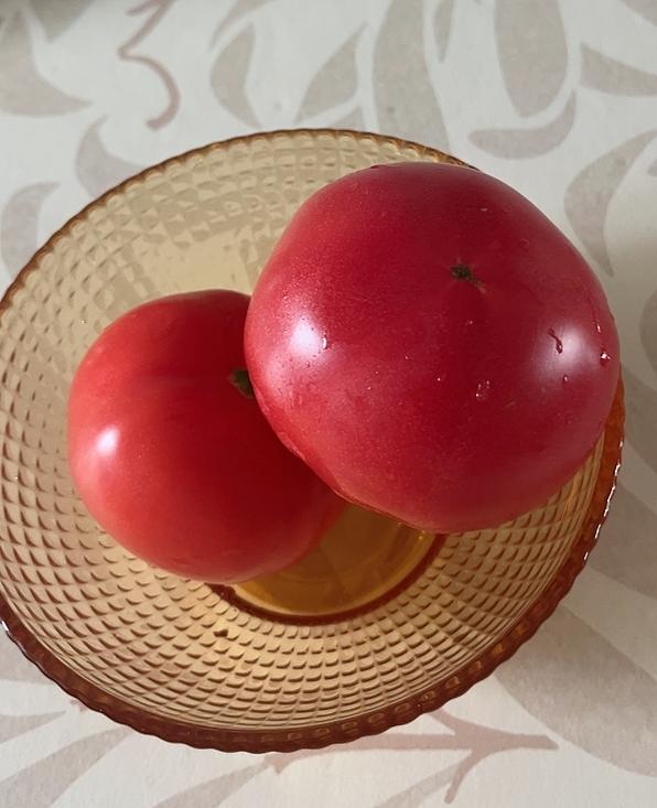 看到墨多先生的
书里的一段话，适合在焦虑的时刻读
他说；人在低谷，不要逢人就诉苦