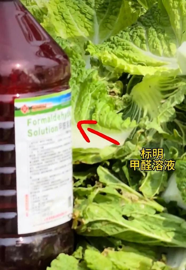 这可是白菜啊！看到“情况属实”真让人痛心。河北康保县，出产错季的大白菜，向全国各