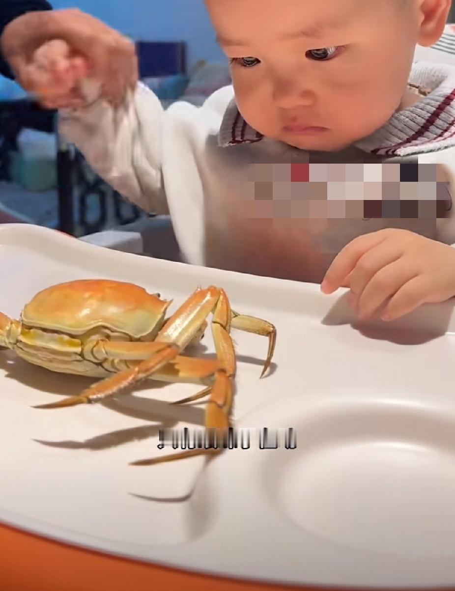 萌娃看到螃蟹的反应竟然如此之大！一个被吓哭，一个得了“螃蟹后遗症”。11月11日