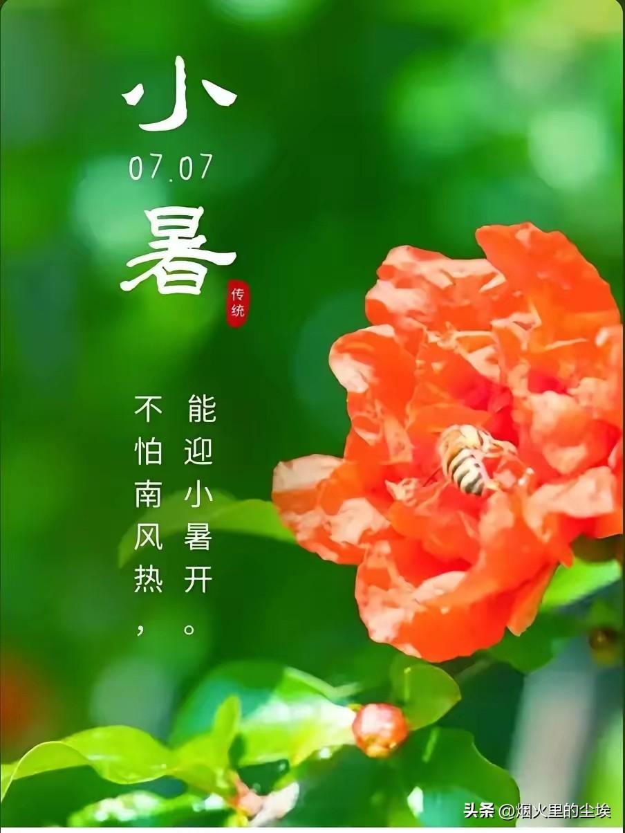 醒大家，7月7日的上午9点56分54时，就要正式进入小暑节气了。民间有“小暑不算