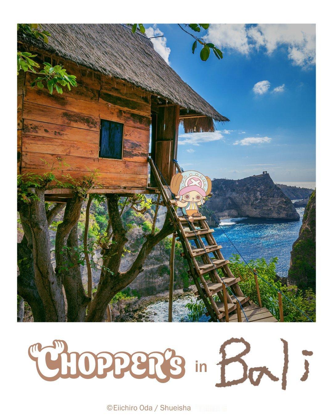 海贼王 【本田快讯】         「CHOPPER’s」乔巴在现代世界的生活