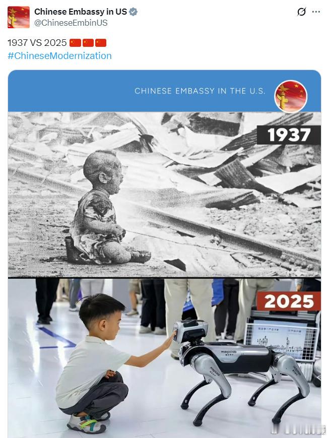 在这个大家可能感受不到的“丛林社会”，我们有责任为下一代做点事。黄媒不会说的真相