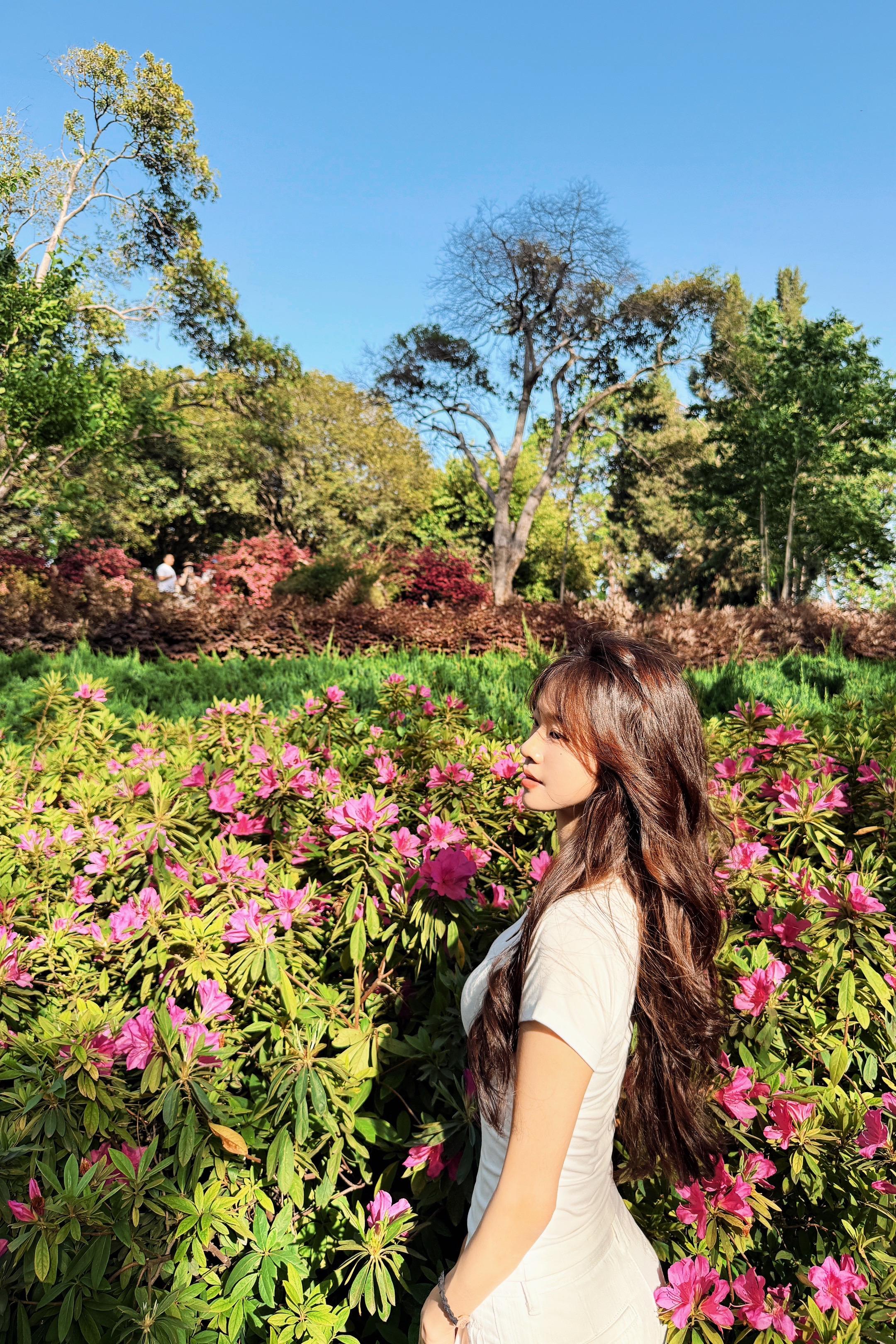 东湖水 我的泪💐