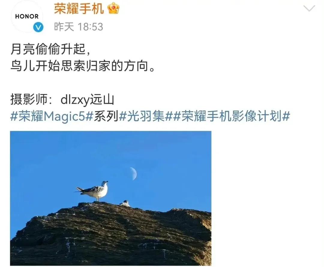 荣耀这是摊牌了嘛？难道荣耀V系列要回归了？难道9000s的V40是真的？想起来那