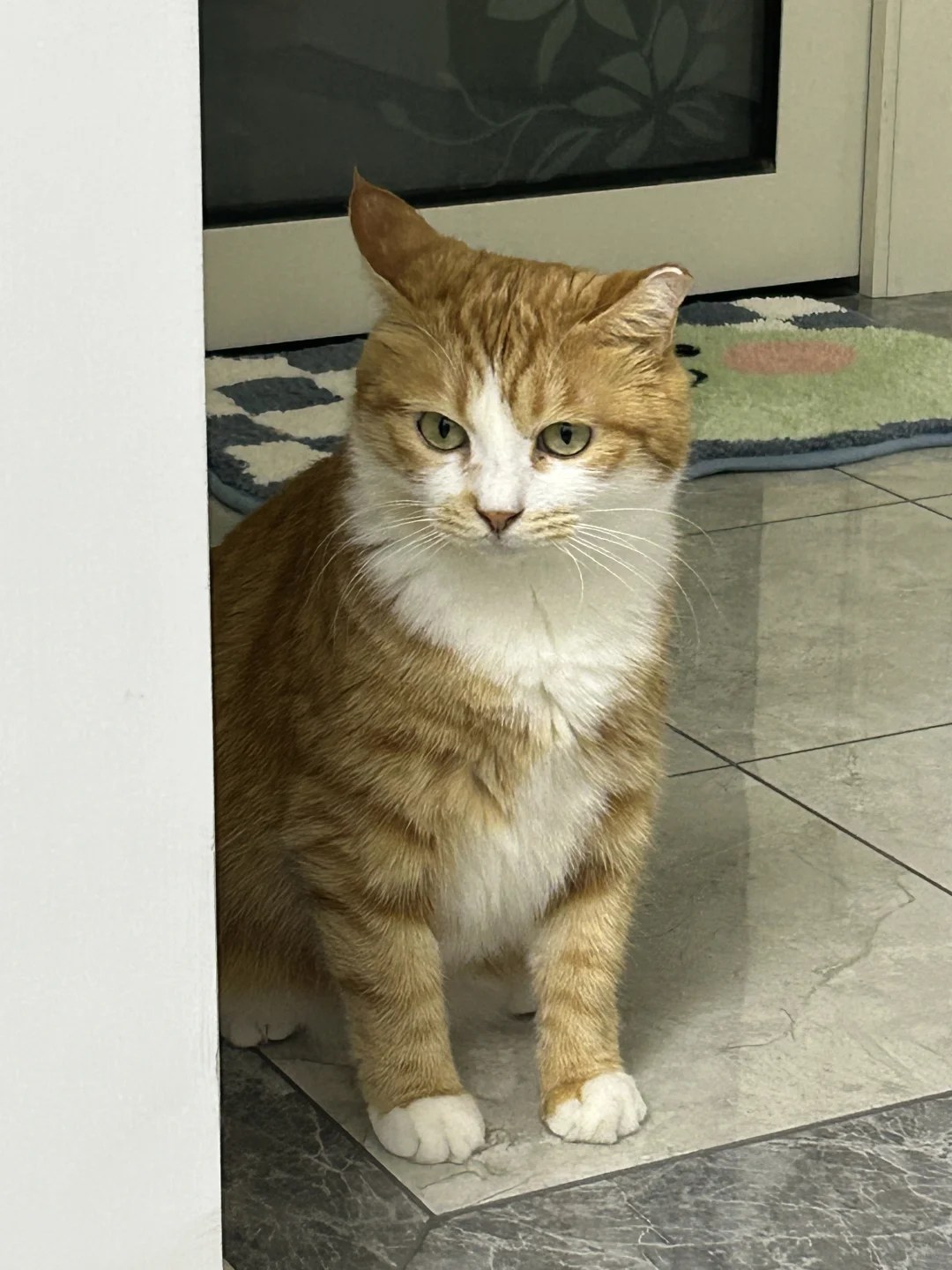 骂了他好像有点不服气🫤