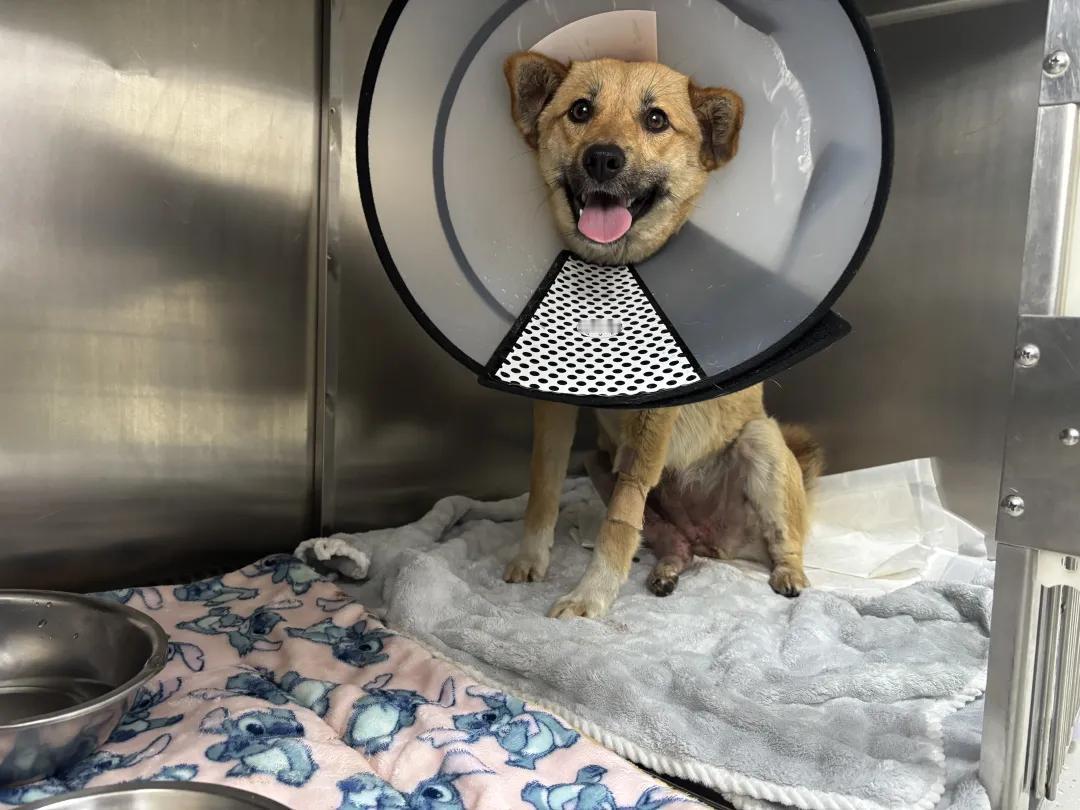 一张皱巴巴的白纸，撕开一看，上面歪歪扭扭写了48个车牌号，没有名字，没有落款，只