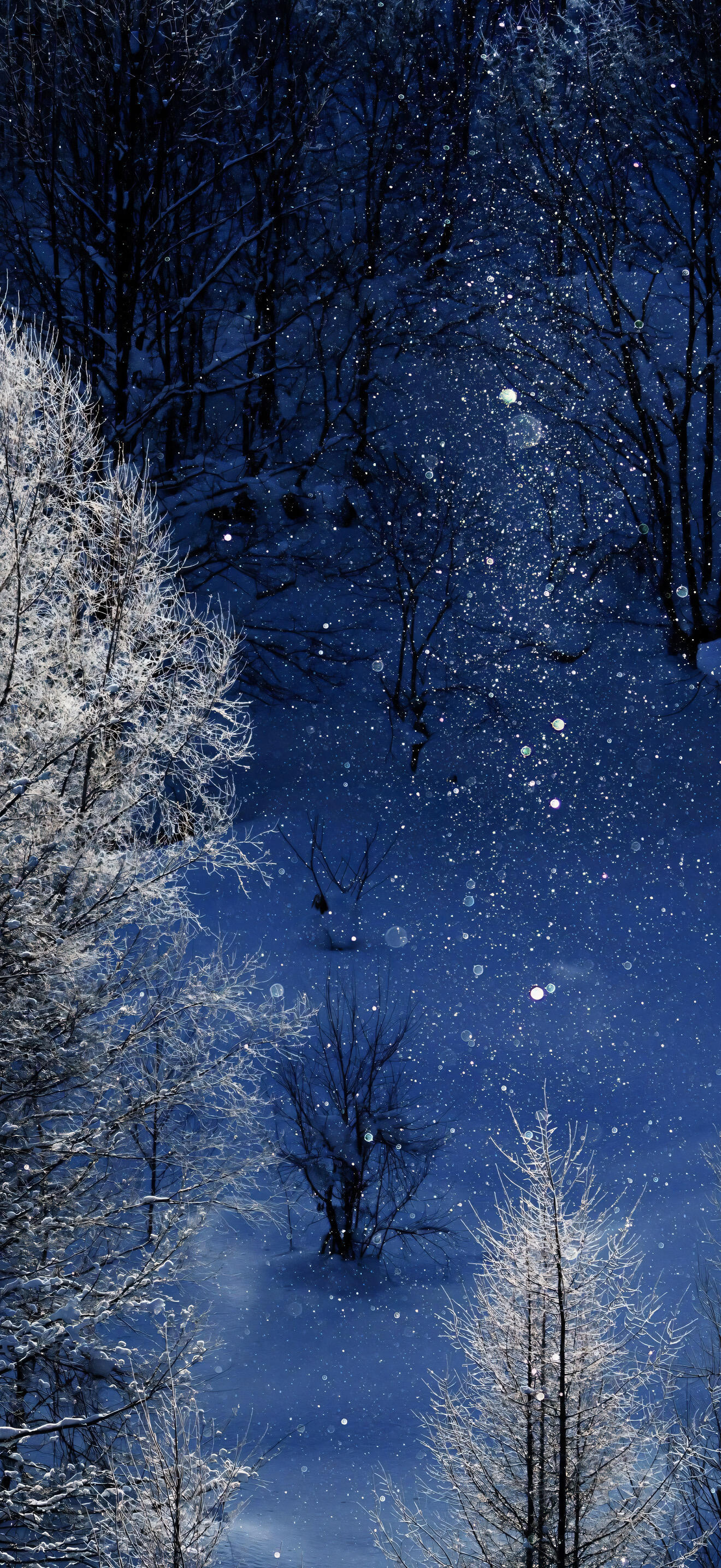 雪景壁纸｜冬日氛围感壁纸｜雪夜｜氛围感壁纸 🌨❄️  专栏 · 壁纸