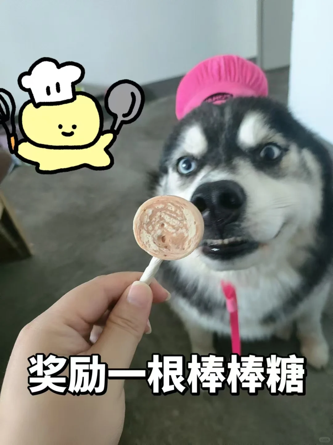 我家小狗居然会做早餐
