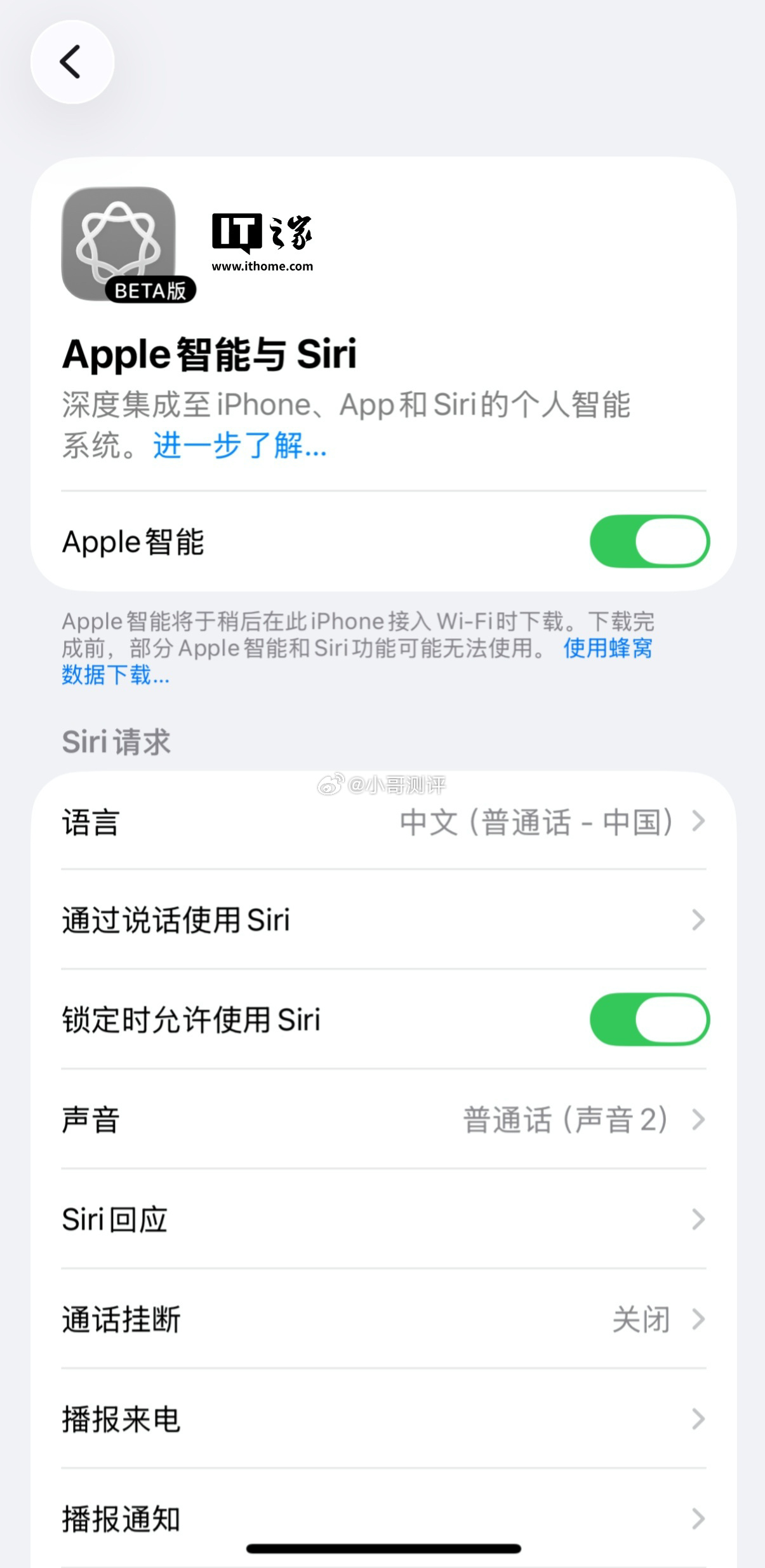 今年 3 月 31 日凌晨，Apple Intelligence 在国内意外上线