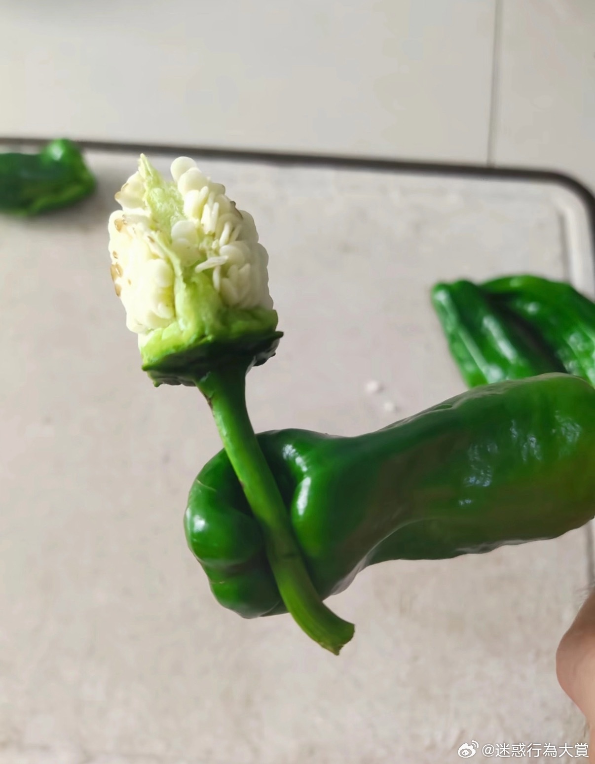 [鲜花] ​​​