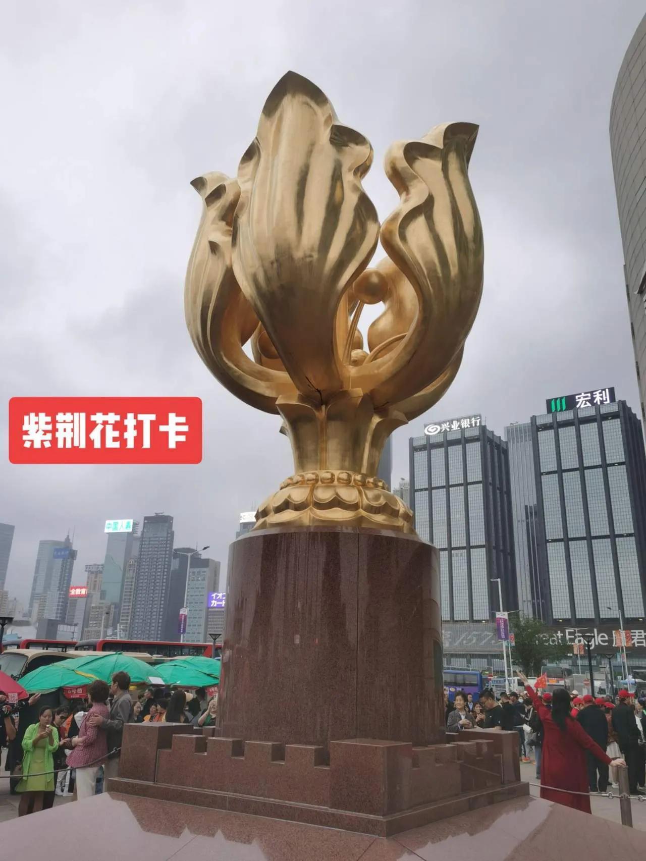 香港近期有部分商户宣布不再接受支付宝和微信支付，这一变化对于想去香港参观学习和消