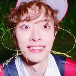 吗的笑炸了 