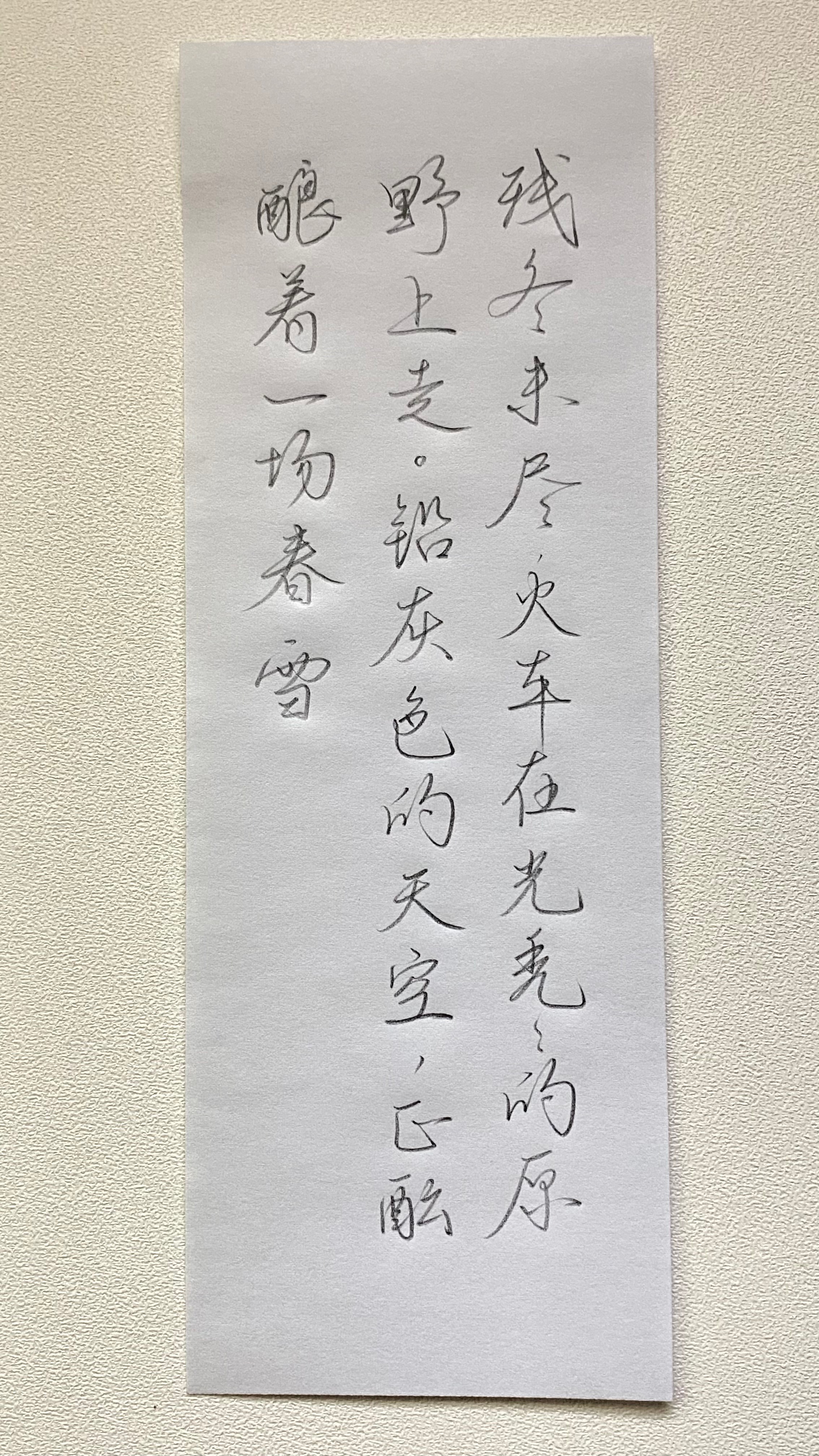 今日作业（2025.1.26）残冬未尽，火车在光秃秃的原野上走。铅灰色的天空，正