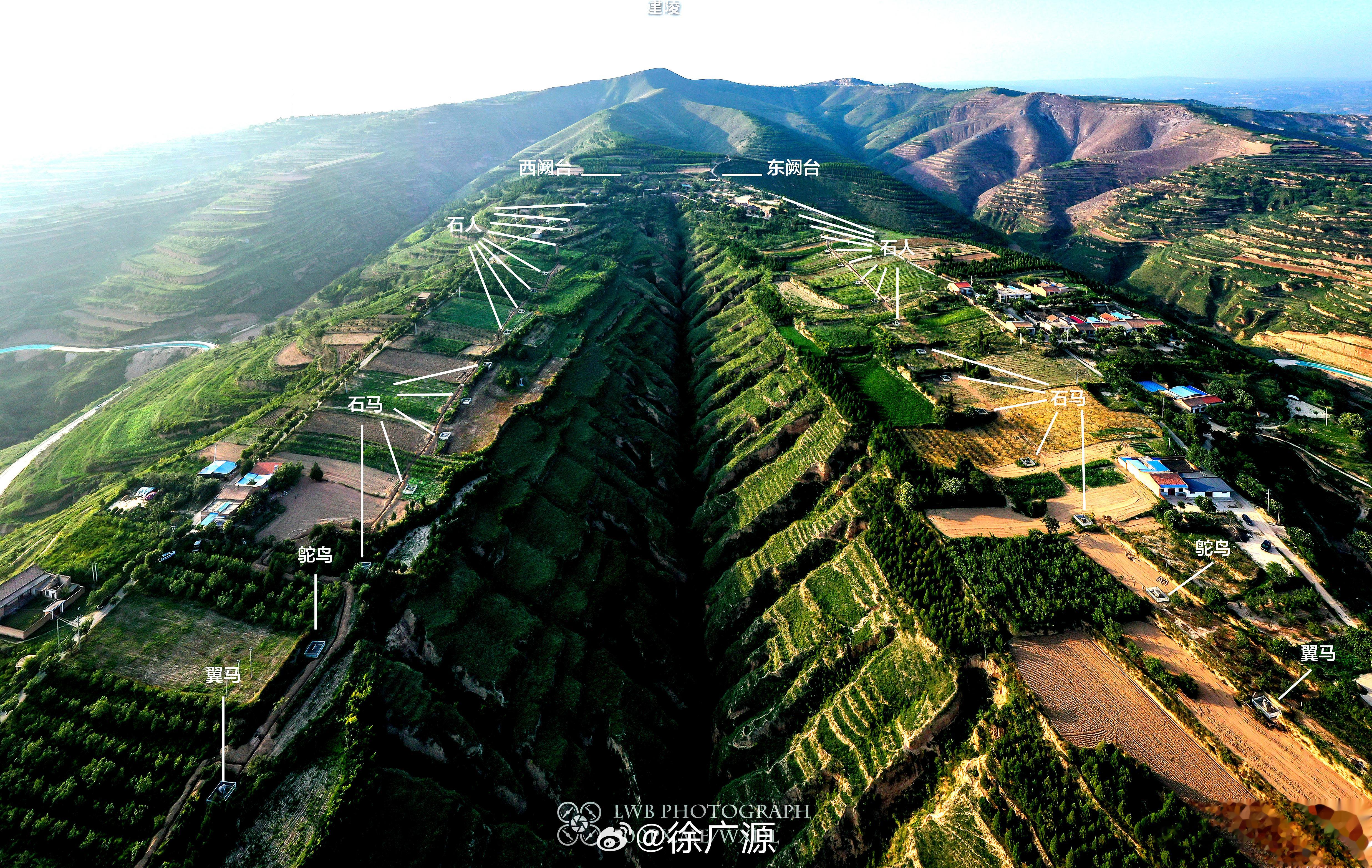 这条大沟就在石像生之间，如果不采取措施，沟越来越宽，难免会危及石像生。这条沟肯定