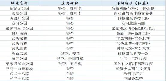 “落叶缓扫”！西安高新区15处点位，等你来打卡....你去过几处？

秋意正浓，