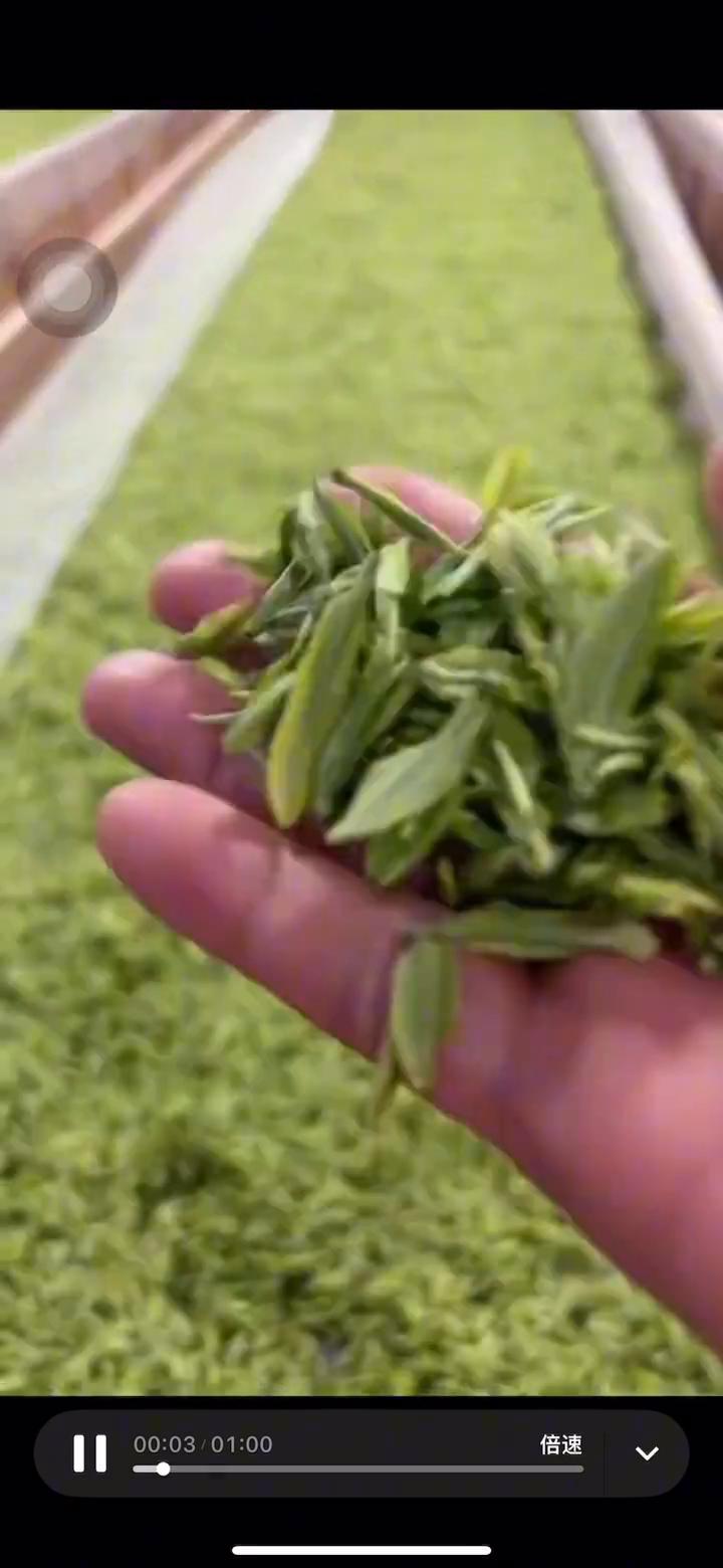 小芽口才漂亮。