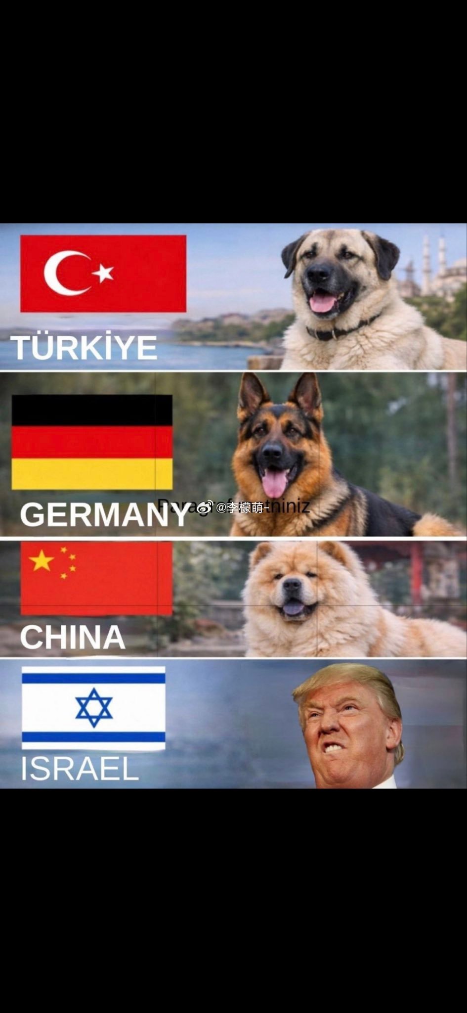 这图看一次笑一次