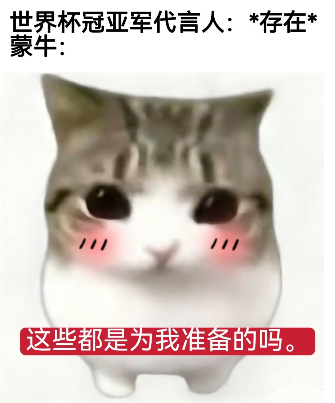 世界杯决赛又被蒙牛包场了 实名眼红蒙牛的锦鲤体质！这蒙牛居然真的包揽了冠亚军代言