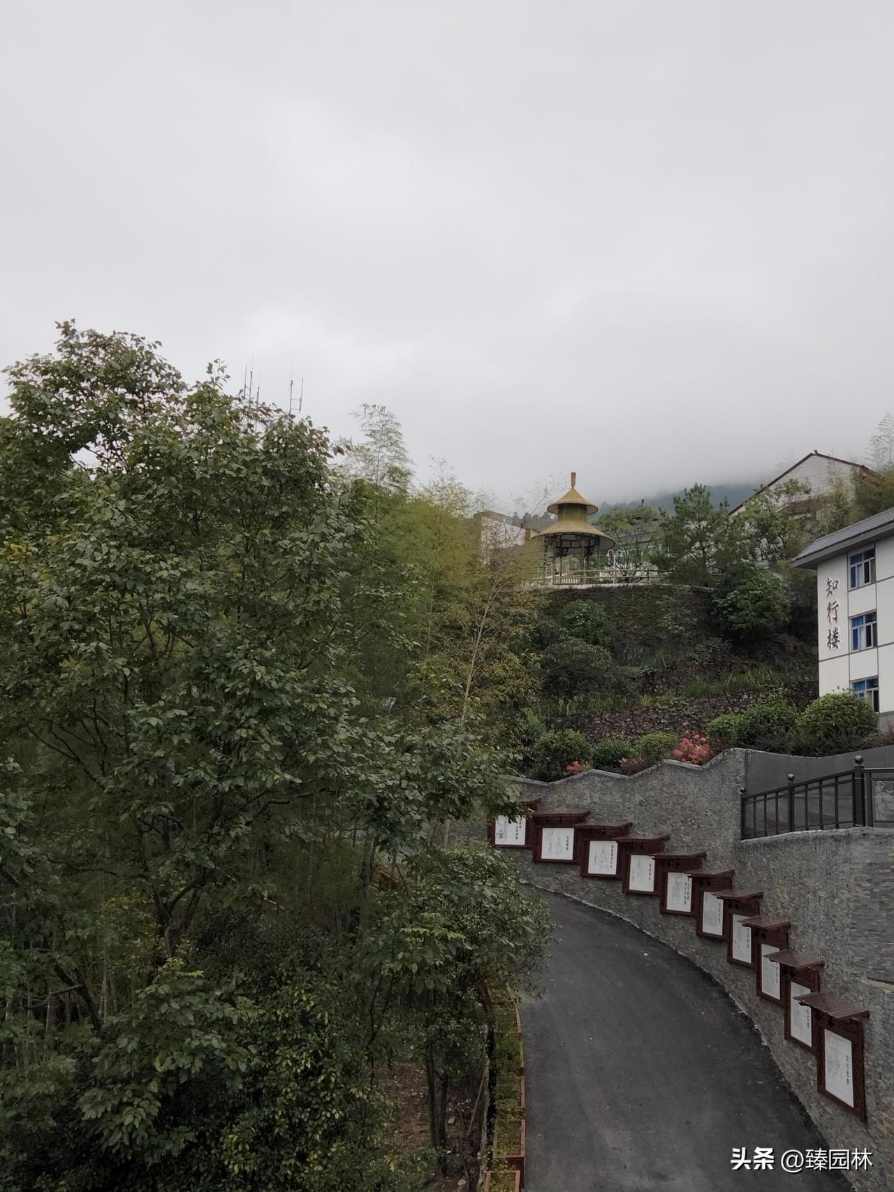 知行合一
最好的注解