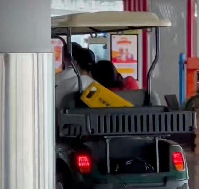 王菲谢霆锋再续前缘？ ​​​