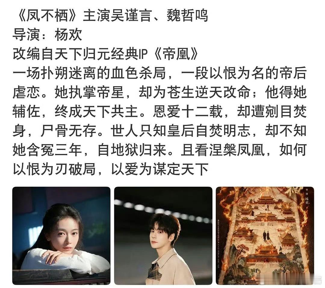 《凤不栖》🍉吴谨言、魏哲鸣，谁期待住了 ​​​