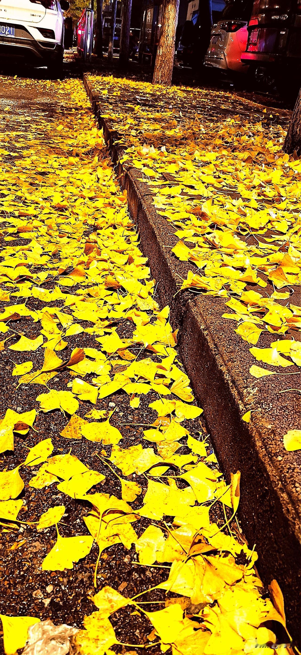 人到中年，像我这样的男人，真的活明白了吗？

人到中年，上有老下有小的年龄，一旦