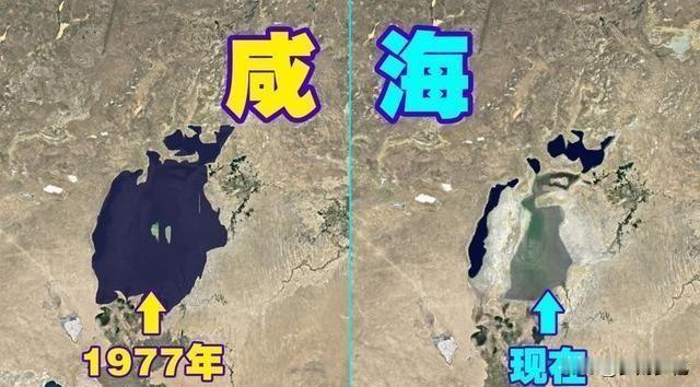 因截流种棉花，7000万人的母亲河生态崩塌背后真相曝光，一个超级大国的决策如何一