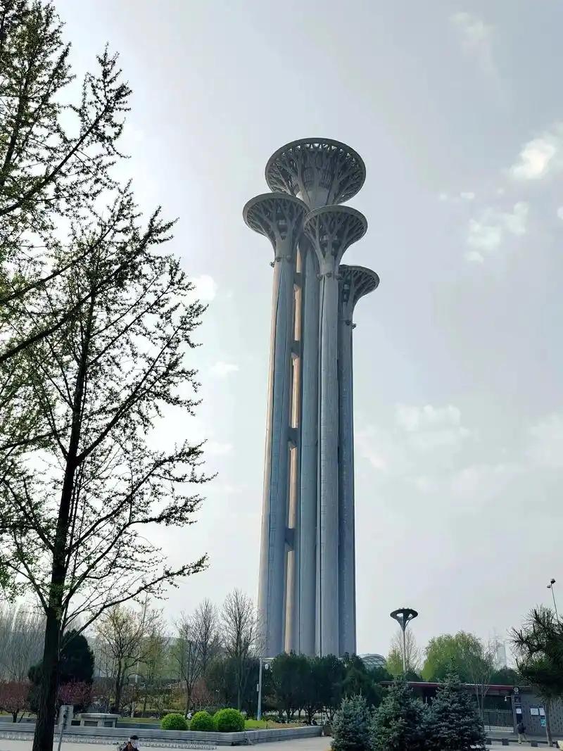 记录我的2026