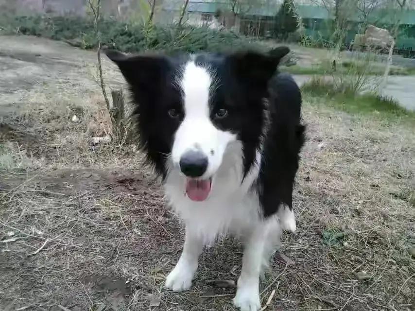我的今日状态：😁轻松愉快
我这里的天气：☀️晴天

来到通通花园看到腊梅花开的