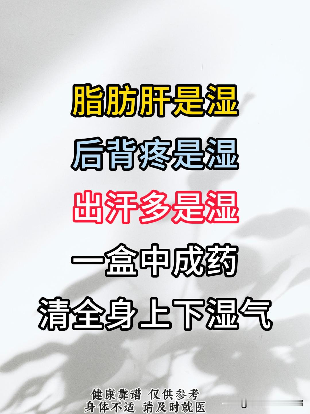 脂肪肝是湿，后背疼是湿，出汗多是湿，一个中成药，清全身上下湿气！