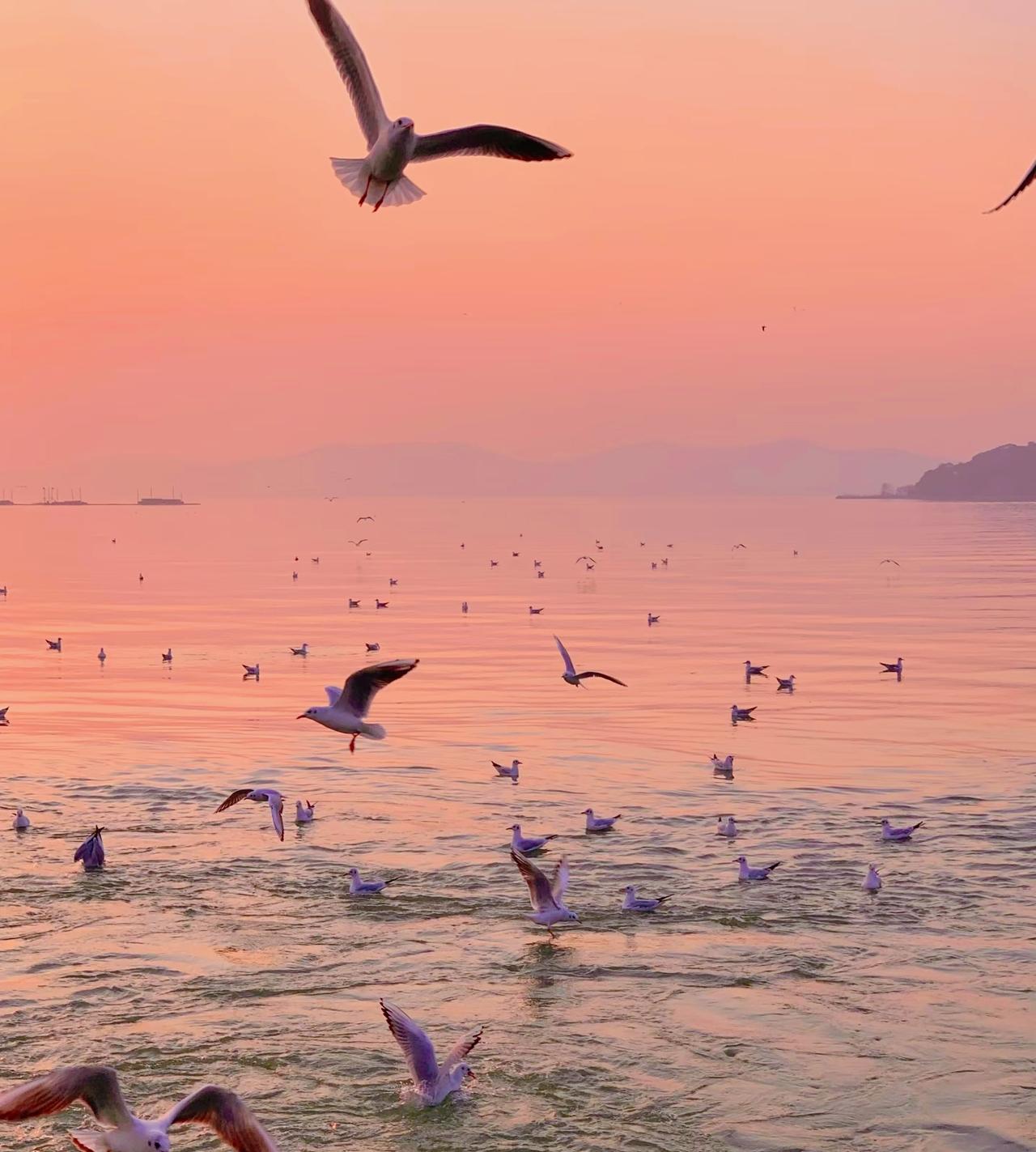 全世界的穷人都以高碳水低蛋白为主食，全世界的有钱人都以高蛋白低碳水为主食，这就像