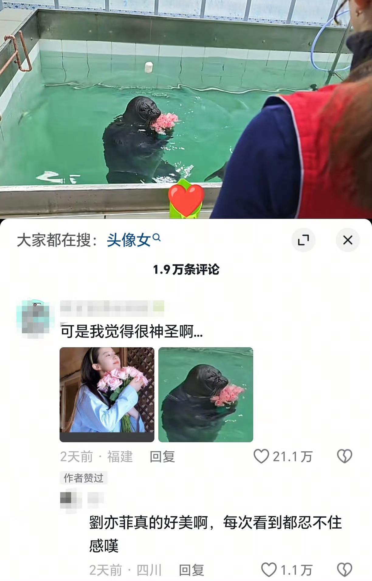 捧花依旧火，刘亦菲影视剧给大众留下深刻印象