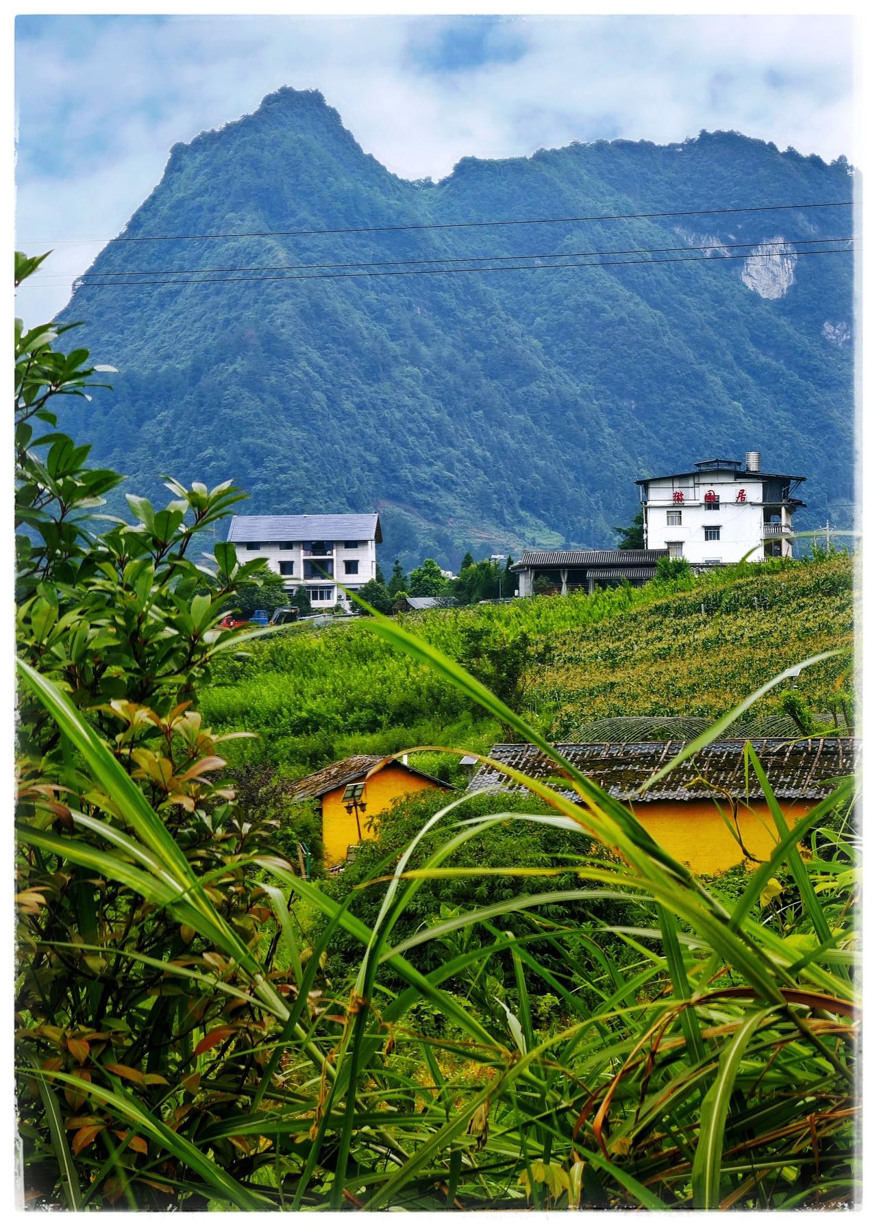 山里头，山绿水绿，空气清新。在夏季的确使人感到……凉爽！