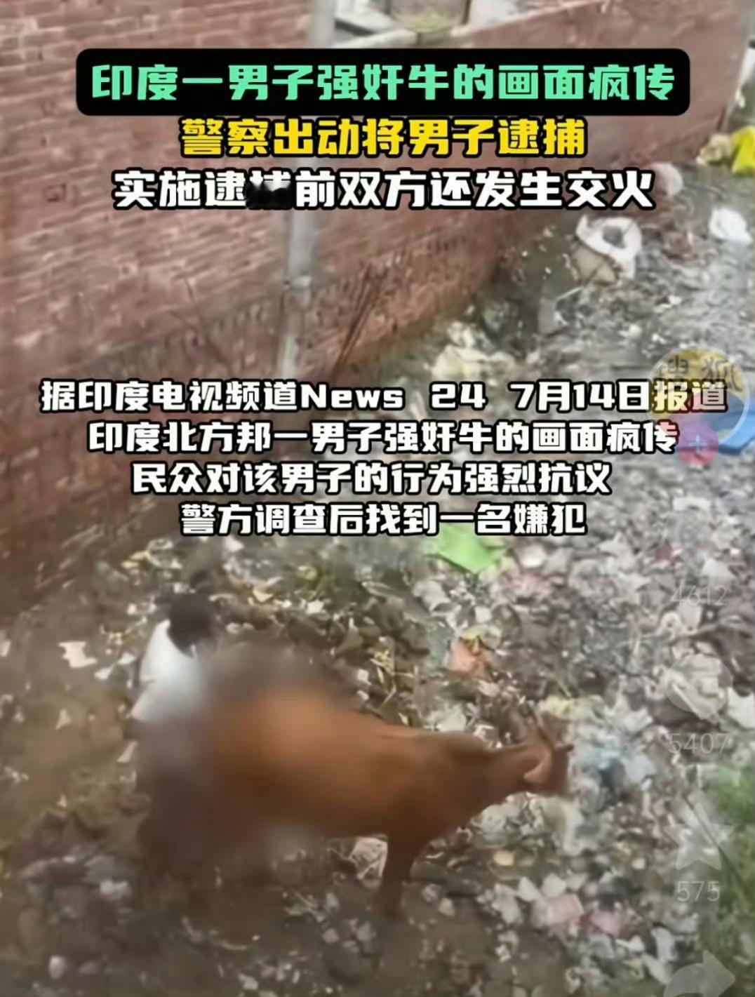 俄罗斯母女住在印度蛇洞九个月一时间不知道这个新闻是夸阿三还是黑阿三，不过有句话说