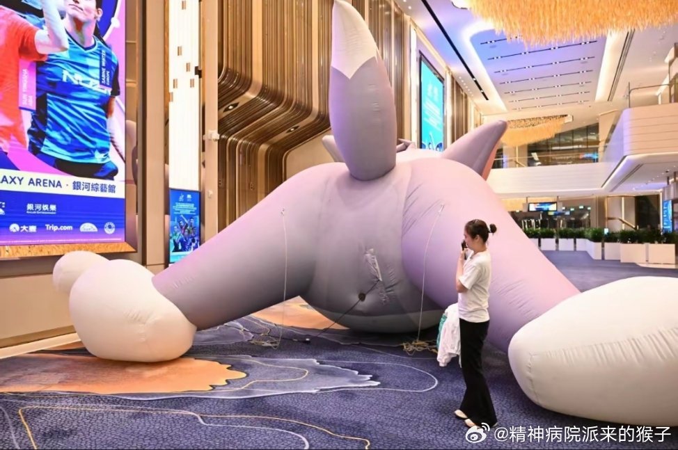 王晓彤：迎万难 赢万难✨祝贺中国乒乓球队🏓和汤姆的屁股合影是因为觉得背影也很可