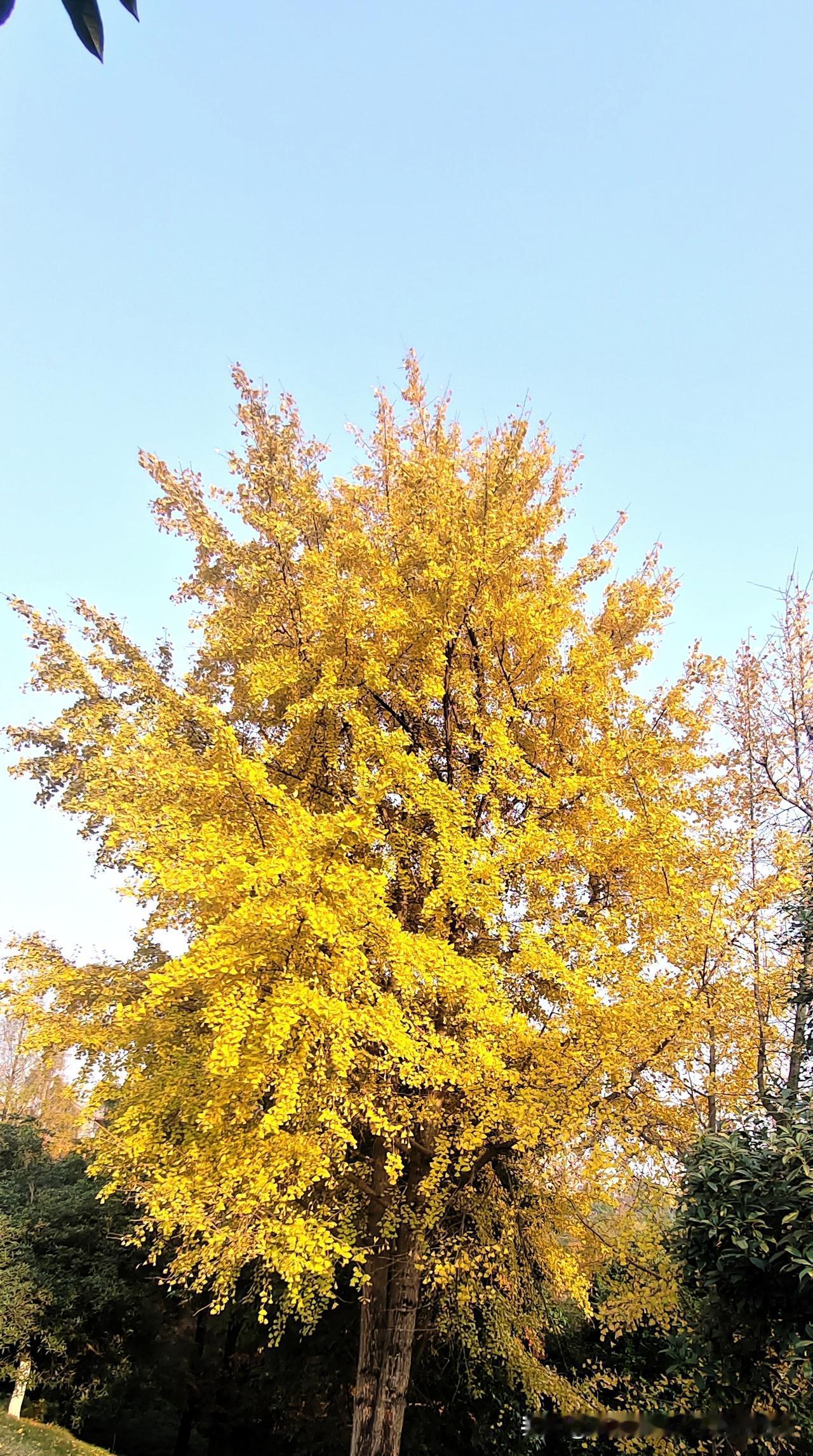 对演艺界，我只当看个热闹
 
反正对演艺界我是看看就行，没什么概念，就是他们的一