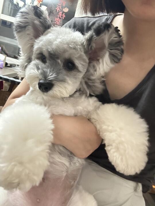 一脸无辜相！谁懂有多不好惹😓