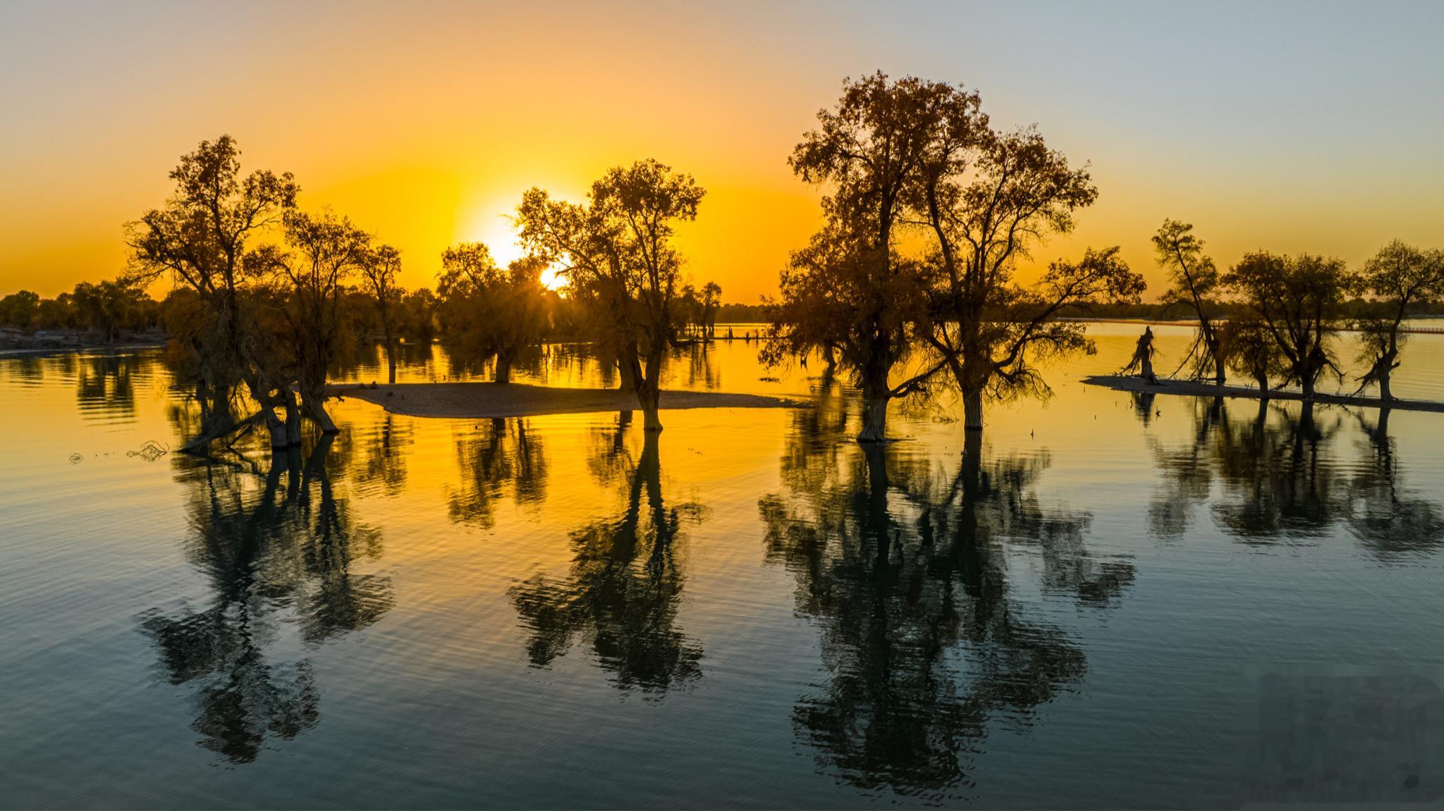 沙雅黄昏 新疆｜阿克苏#大美新疆#  