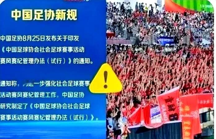 新规逼死小球场

赣超、苏超这些自发联赛原本靠老板掏几万块、球员AA油钱就能踢一