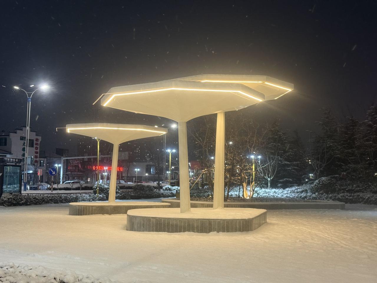 下雪后的烟台！雪后得烟台甚是美丽，可惜烟台不像东北那样可以长期持续保持零下，没办