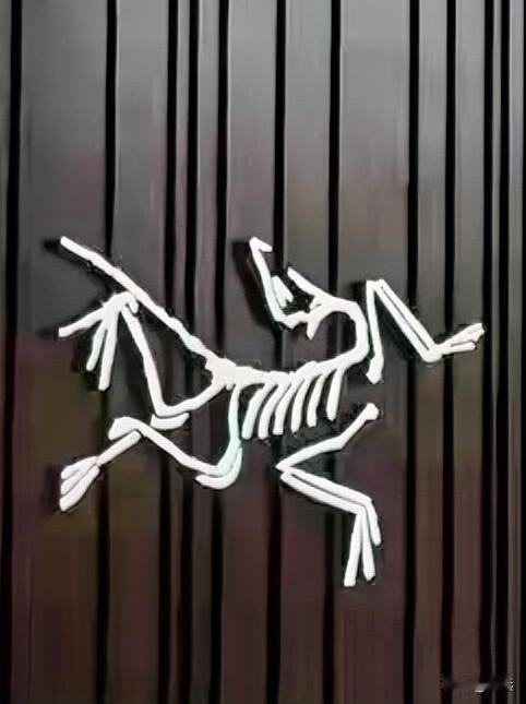 我笃定相信，始祖鸟官方和蔡国强在喜马拉雅制造的烟花秀事件，如果在全平台继续“销声