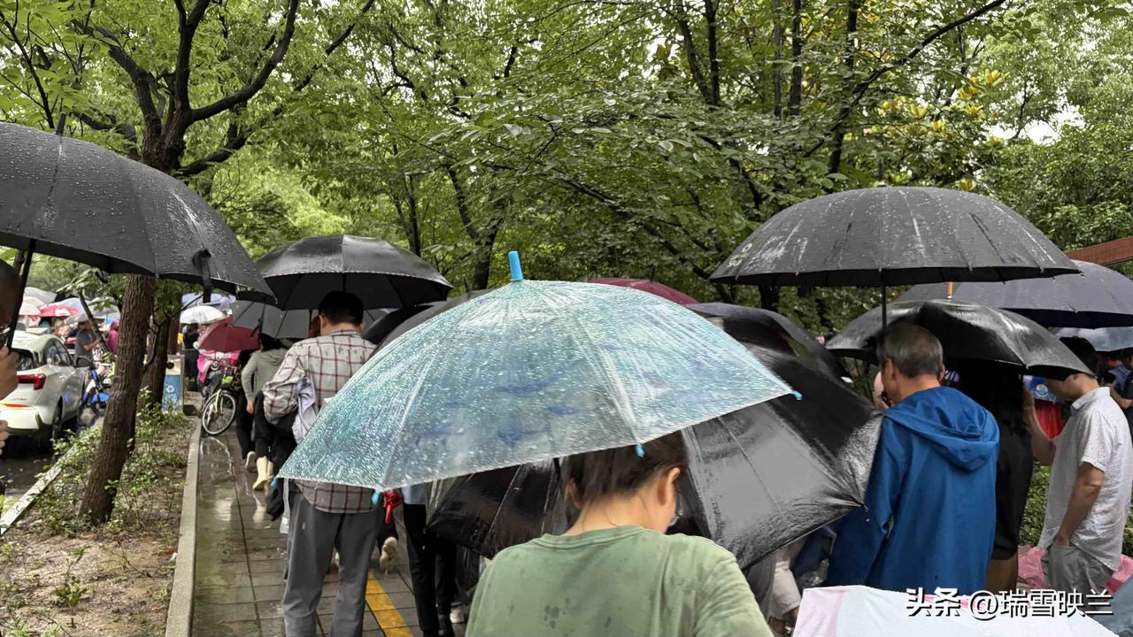 昨天下午接孙女和孙儿放学，正赶上外面下大雨。


校门口两侧的步道上早早就挤满了