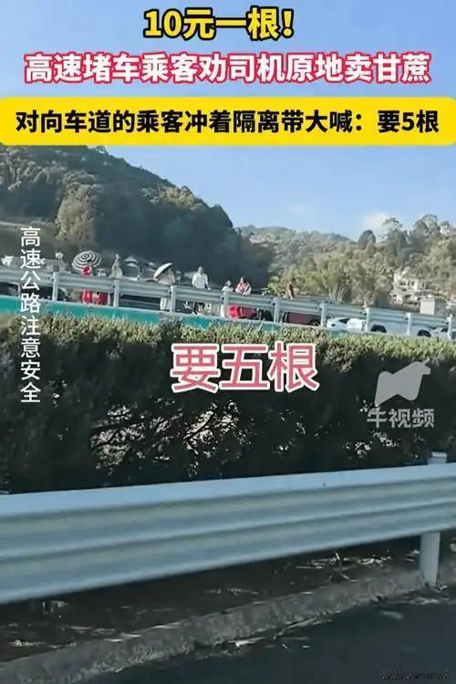 高速堵车堵出新花样，云南司机就地卖甘蔗火遍全网。
 （个人观点仅供参考，无任何不